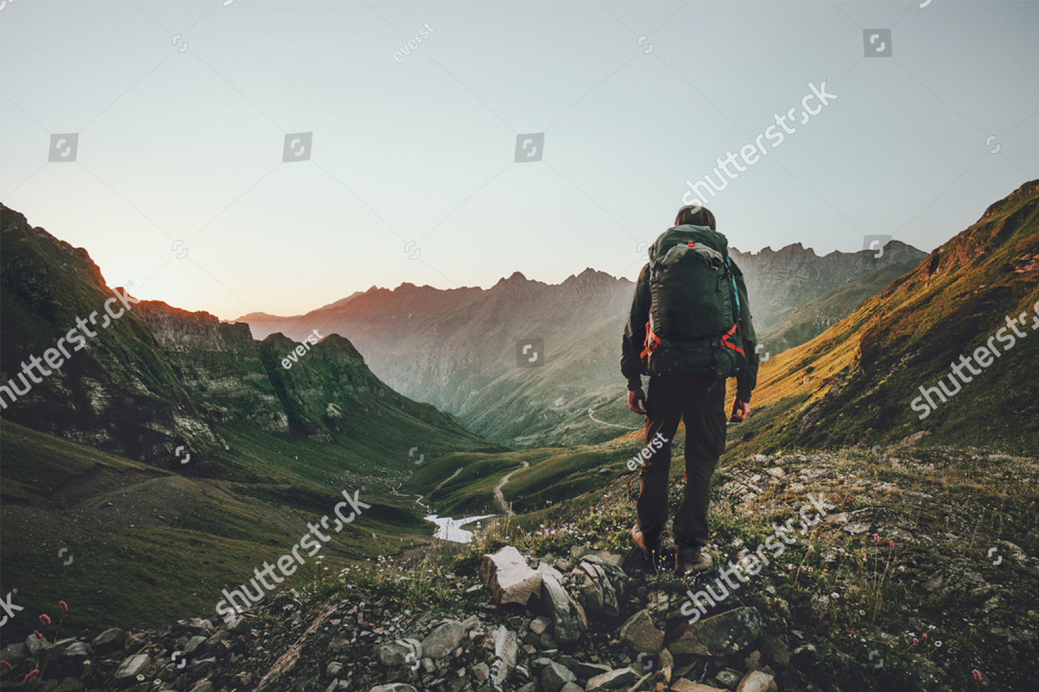 Beitragsbild Divider
